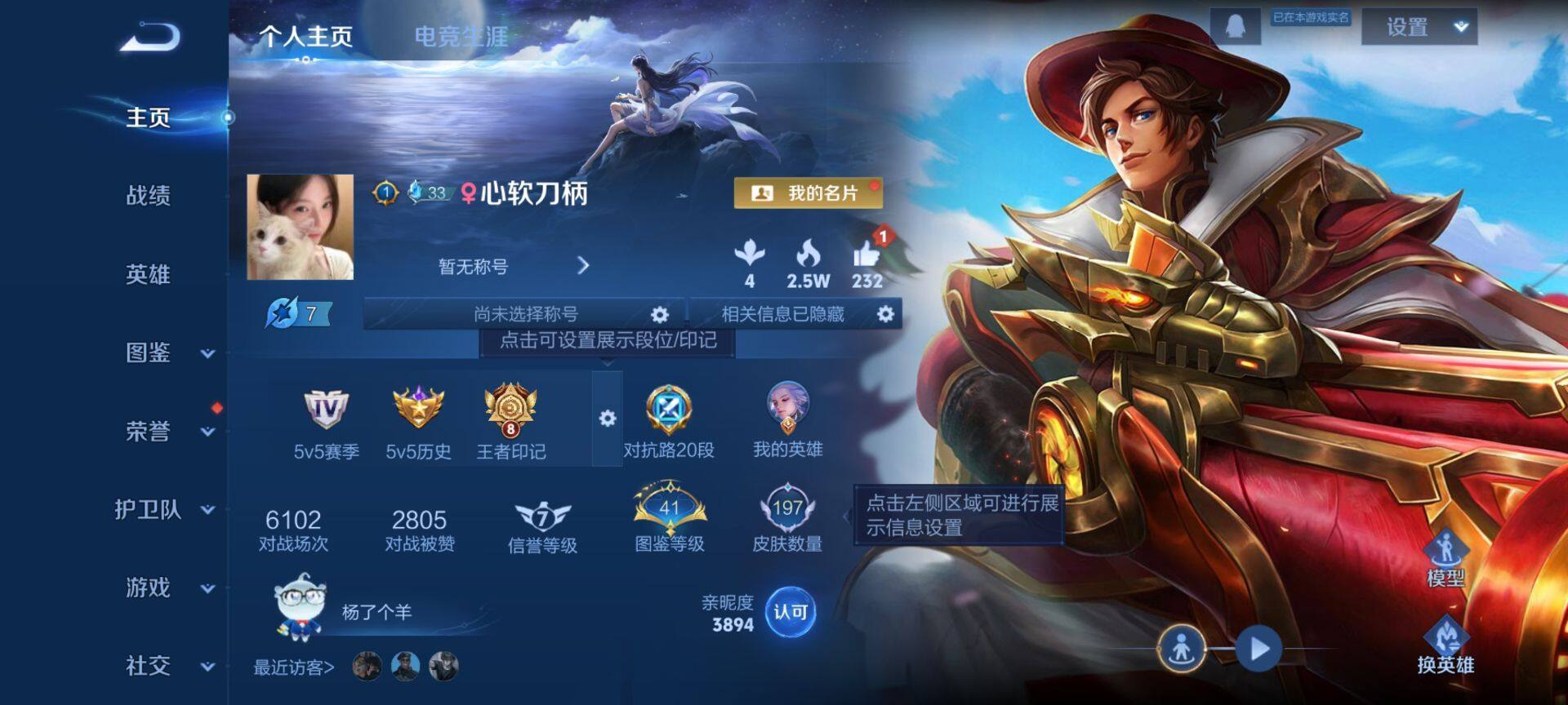 WZQM493589王者荣耀账号详情图3