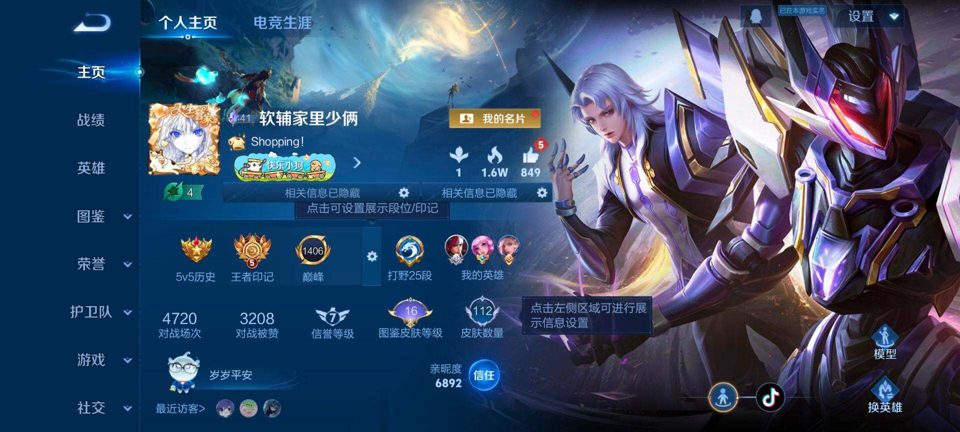 WZQM493704王者荣耀账号详情图3