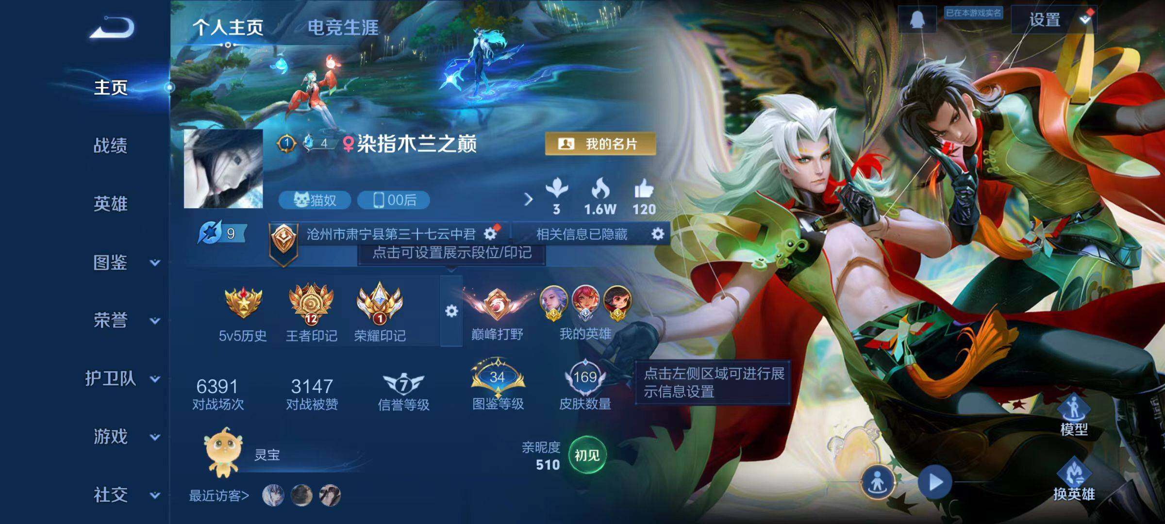 WZLX4109823王者荣耀账号详情图10 WZLX4109823王者荣耀账号详情图10