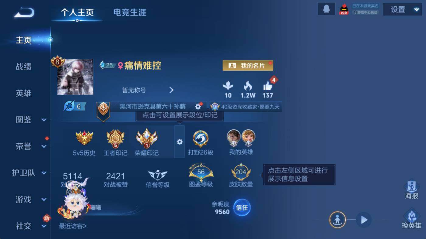 WZCMW4119015王者荣耀账号详情图8