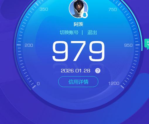 WZKG494517王者荣耀账号详情图7