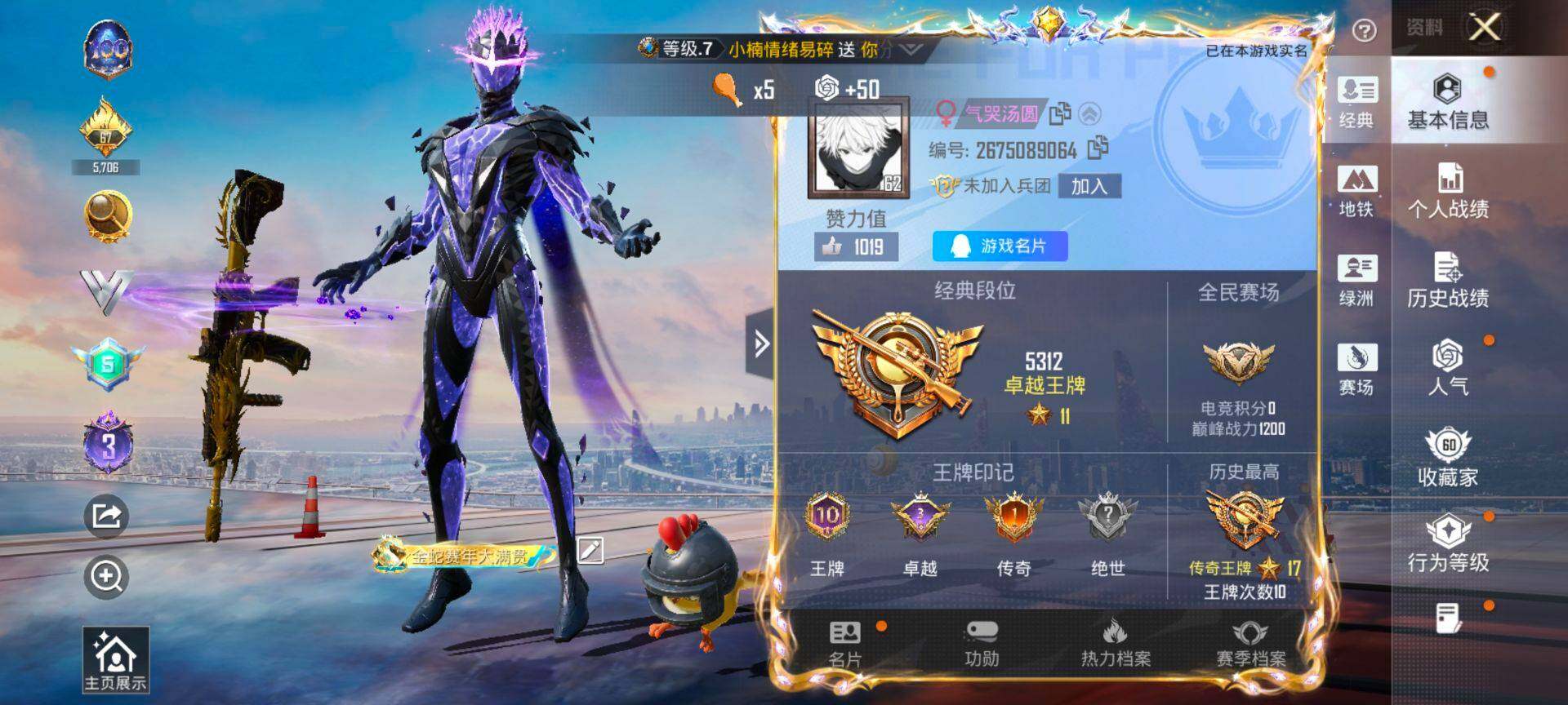 HPQM449393和平精英账号详情图3