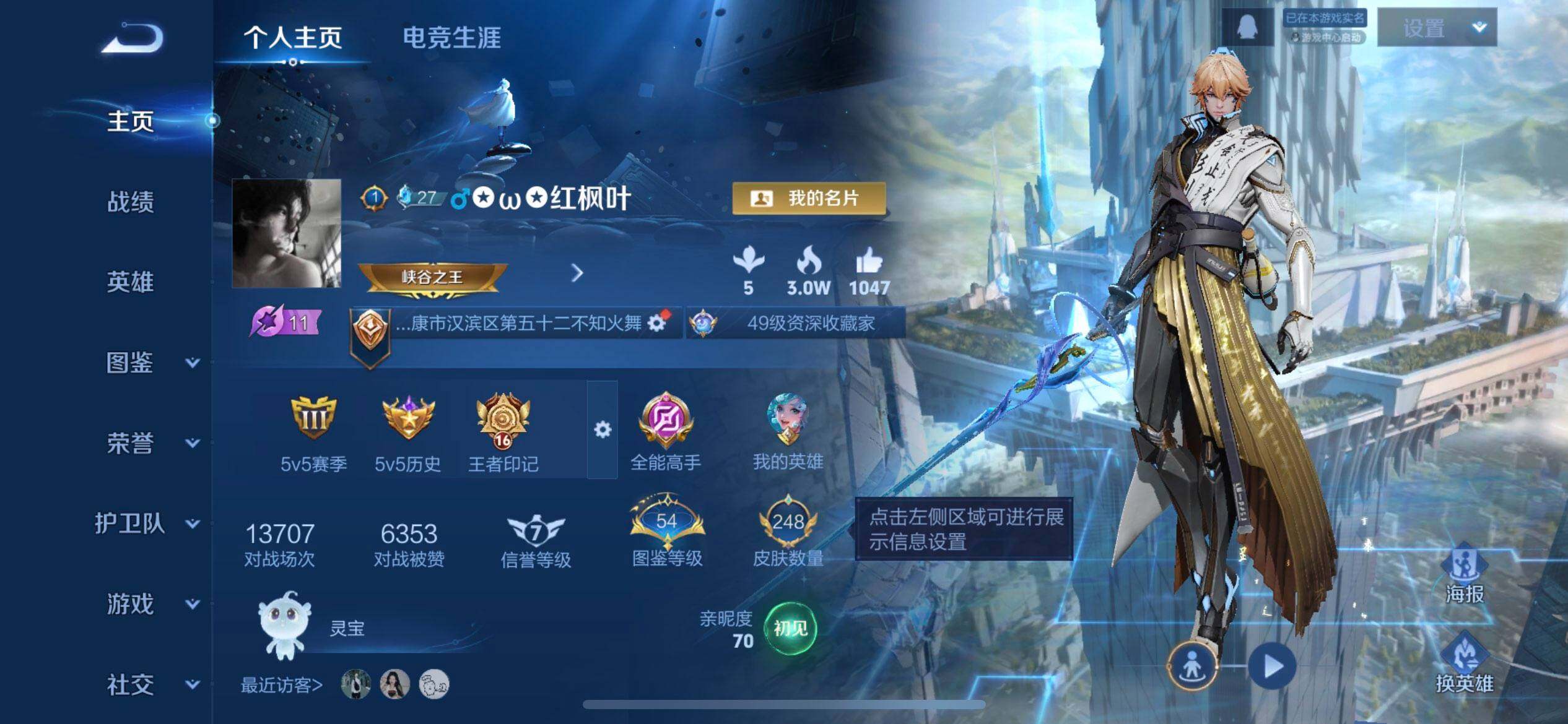 WZQM497898王者荣耀账号详情图3