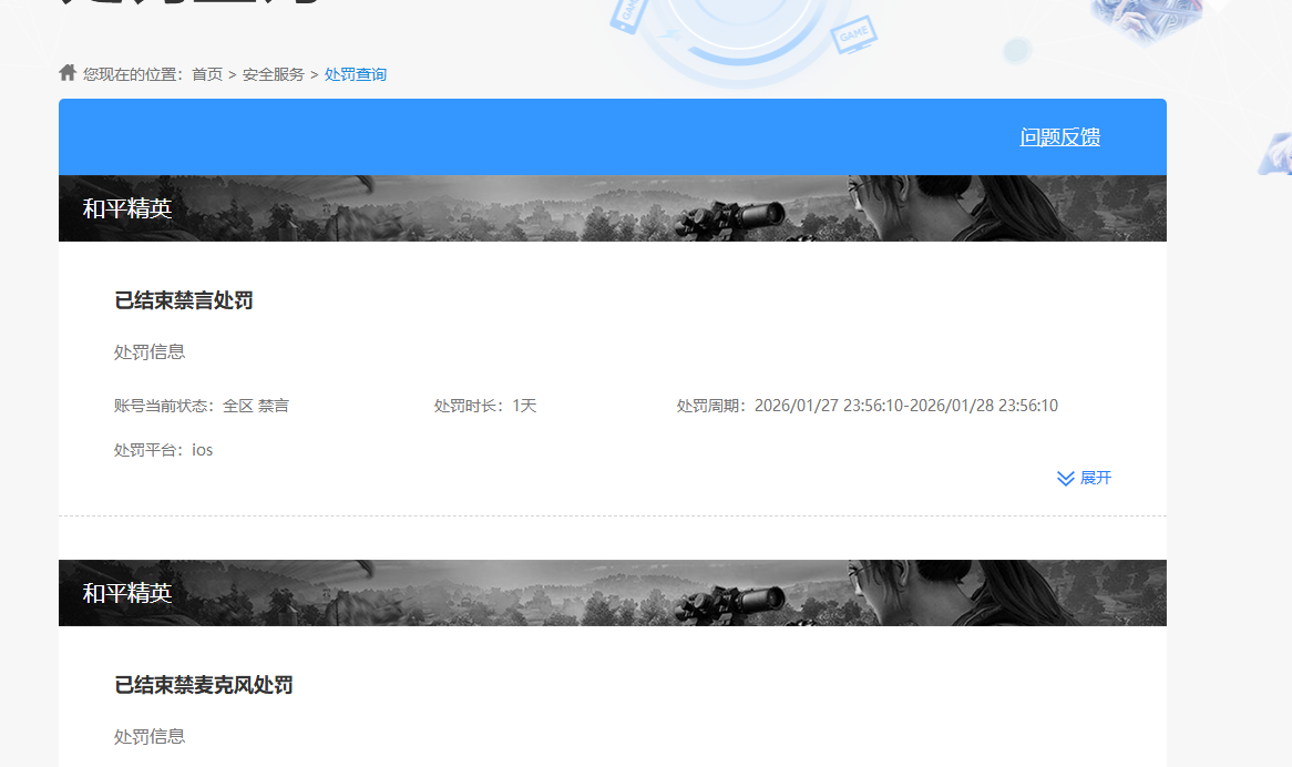 WZKG496596王者荣耀账号详情图7