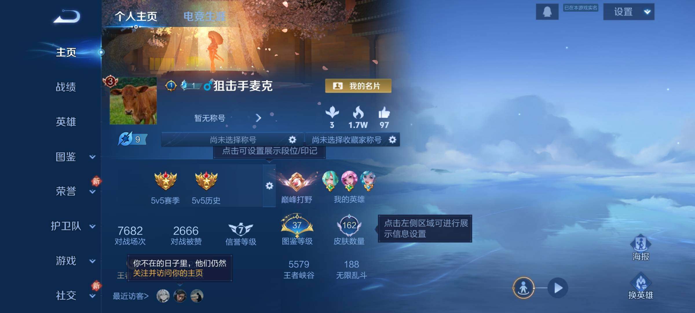 WZKG496596王者荣耀账号详情图8