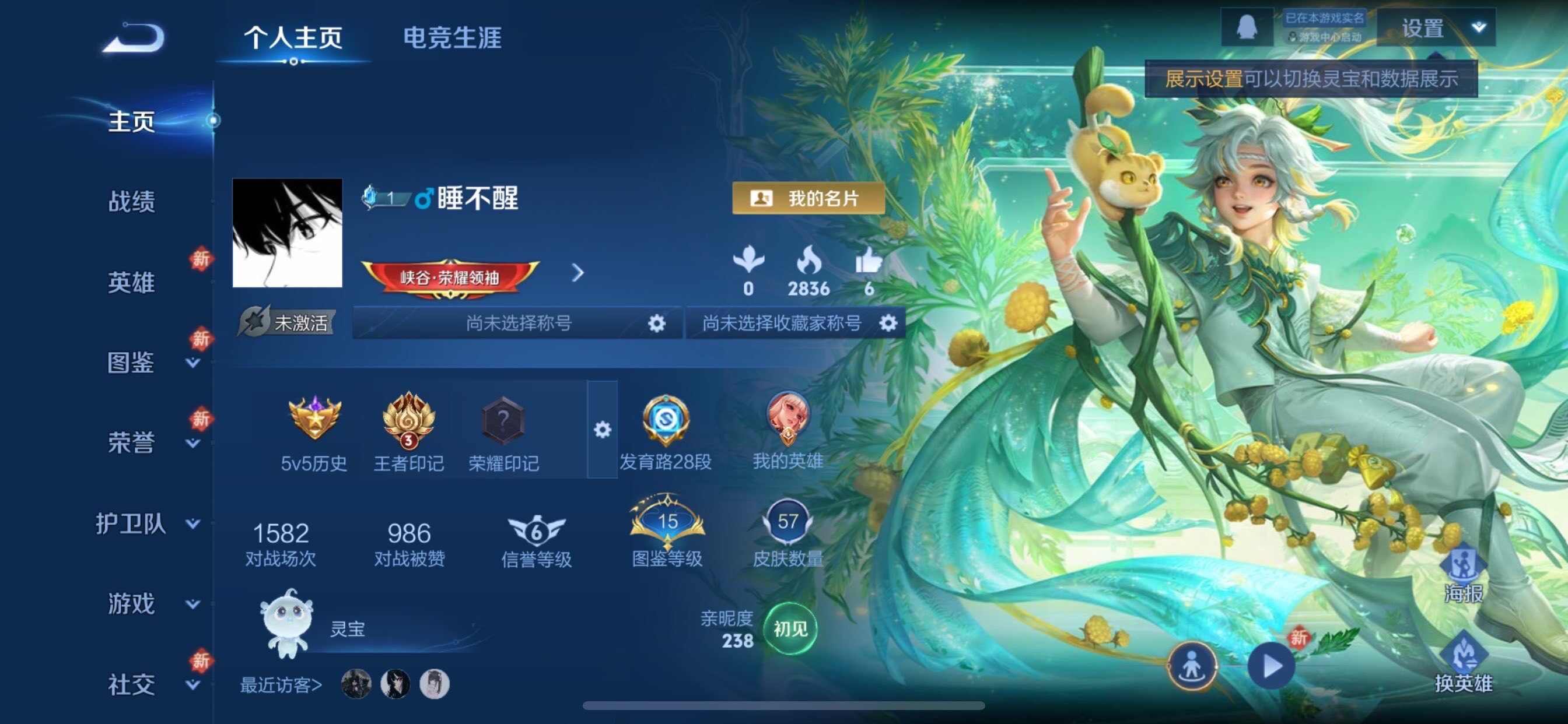 WZCMY498020王者荣耀账号详情图2