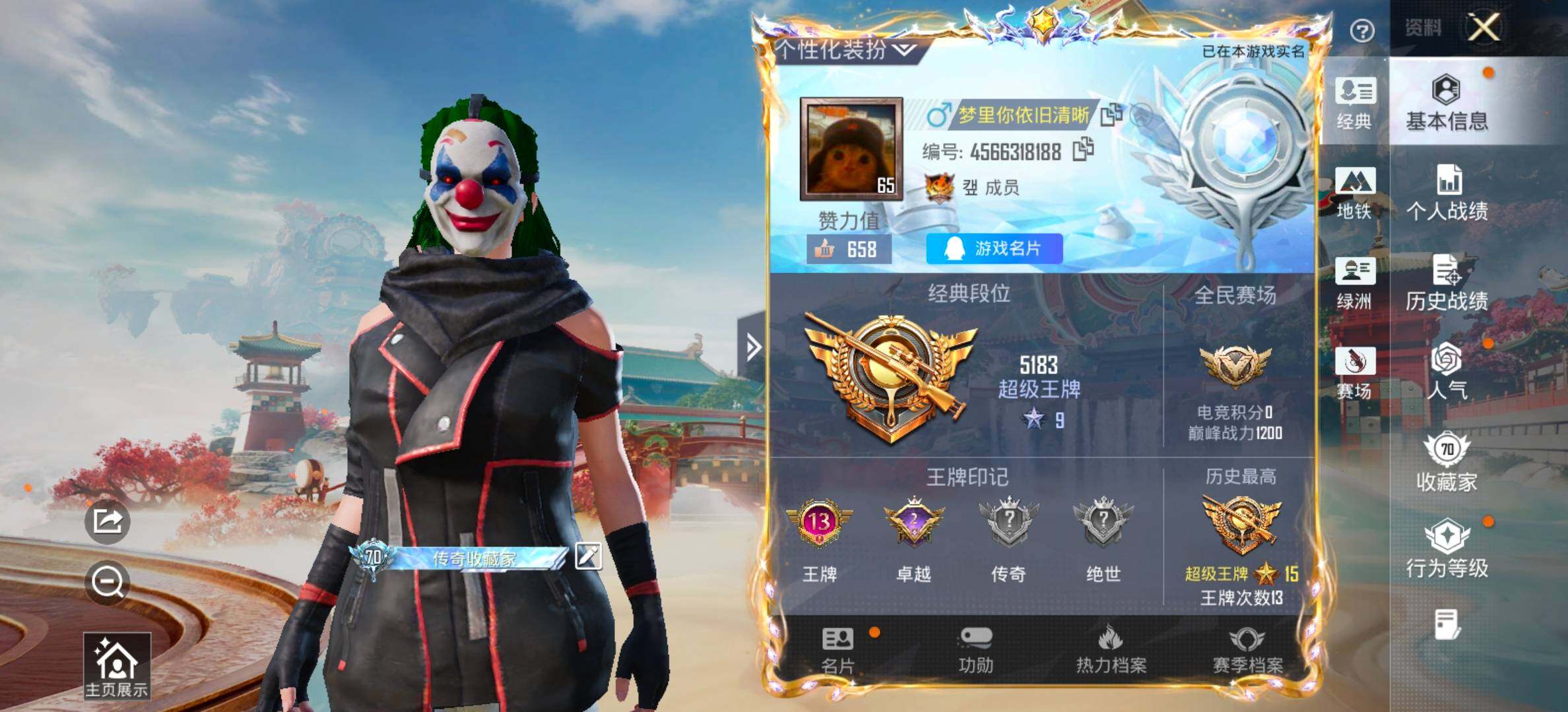 HPCMW458717和平精英账号详情图2