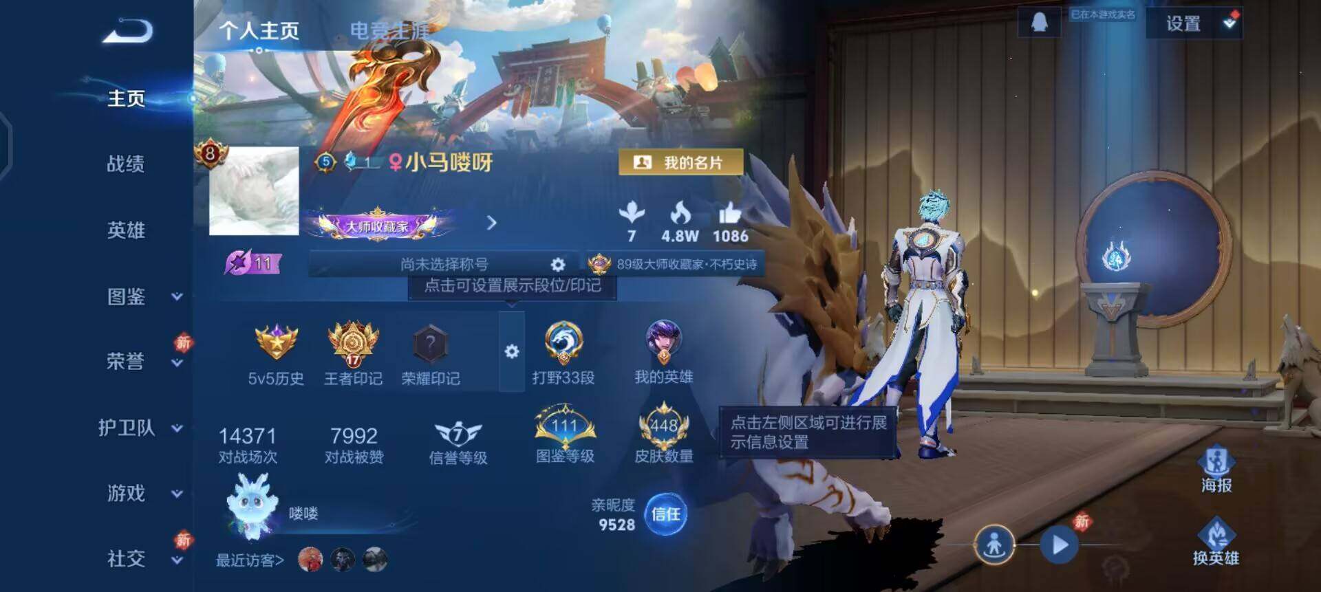 WZQM497892王者荣耀账号详情图3