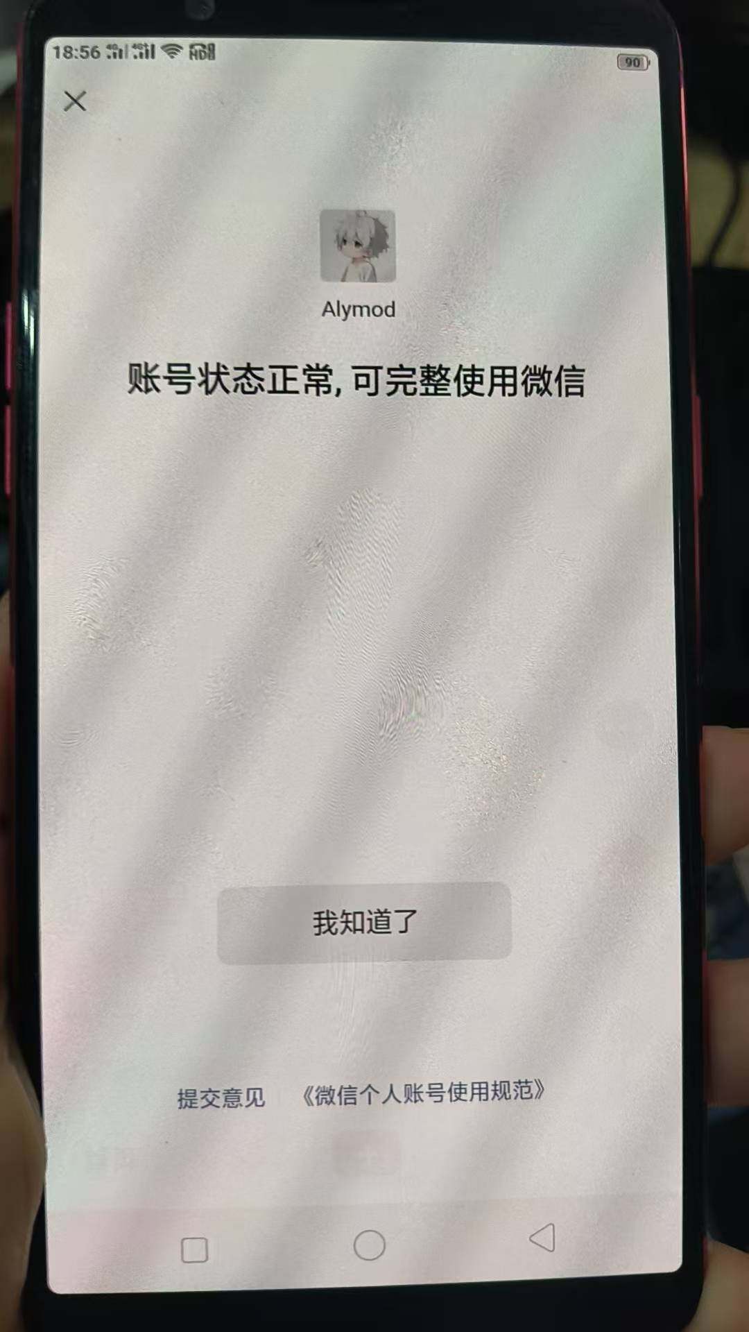WZKG496334王者荣耀账号详情图13