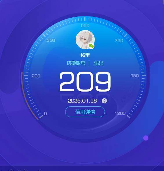 WZKG496334王者荣耀账号详情图14