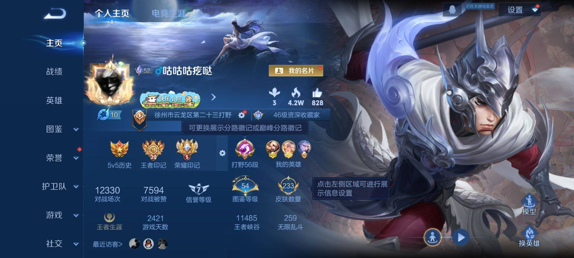 WZQM496370王者荣耀账号详情图3