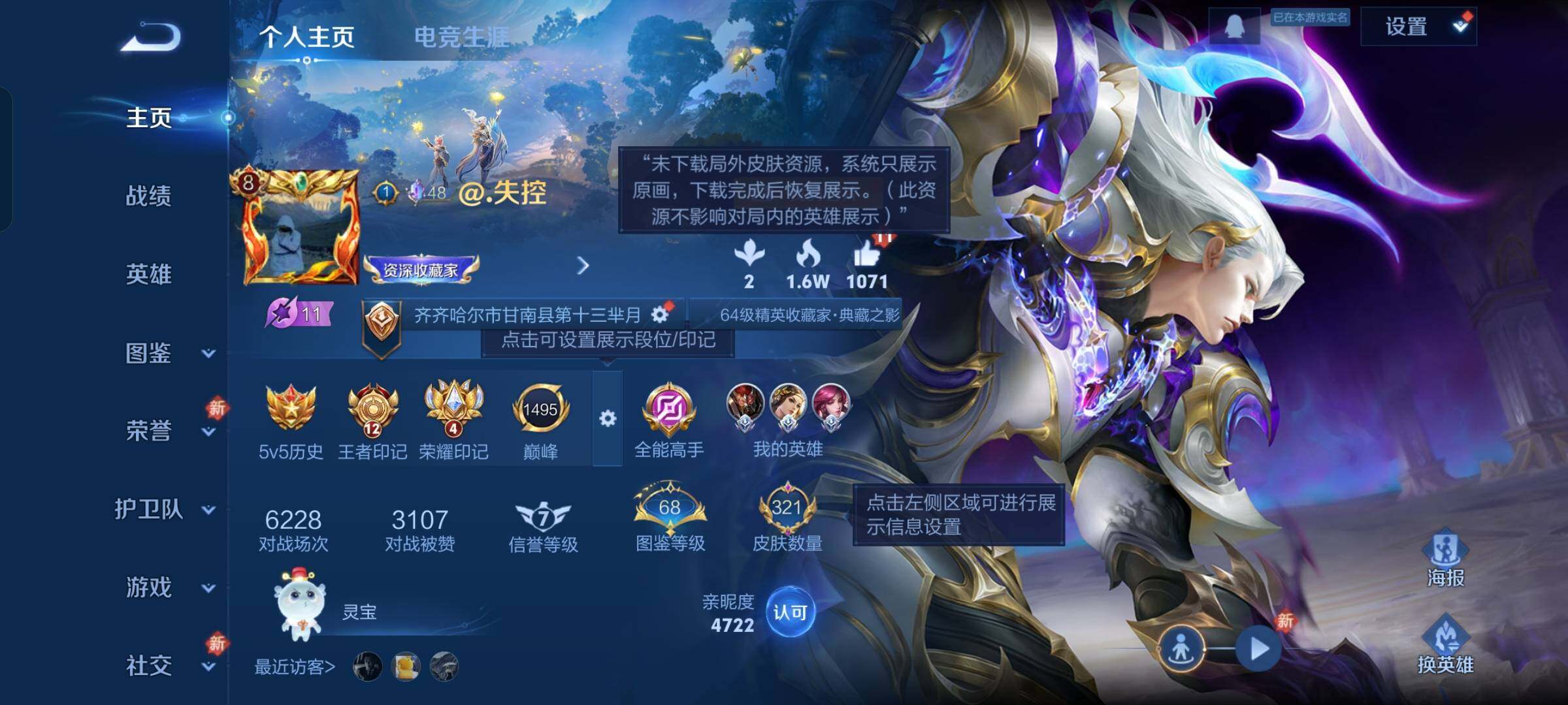 WZKG496553王者荣耀账号详情图12