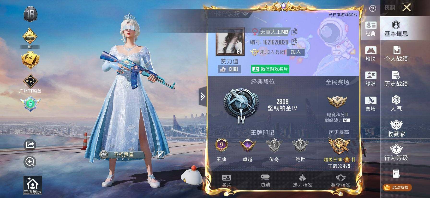 HPQM451119和平精英账号详情图3