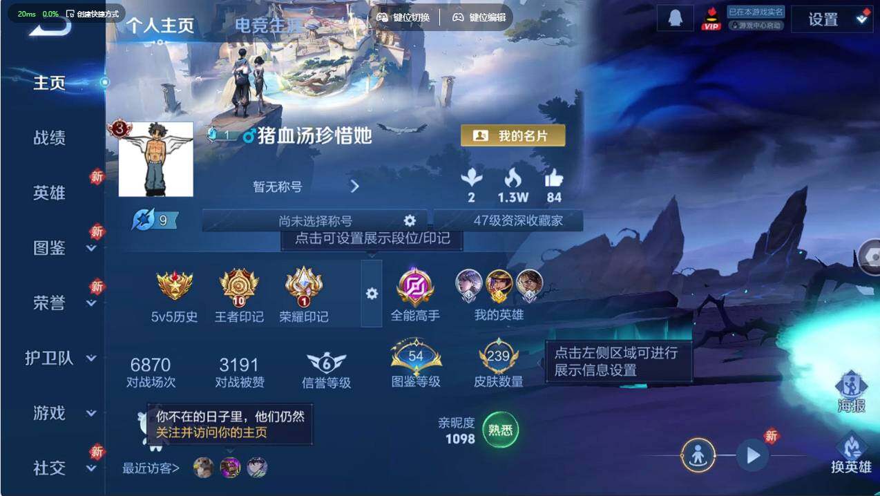 WZCMW497827王者荣耀账号详情图8