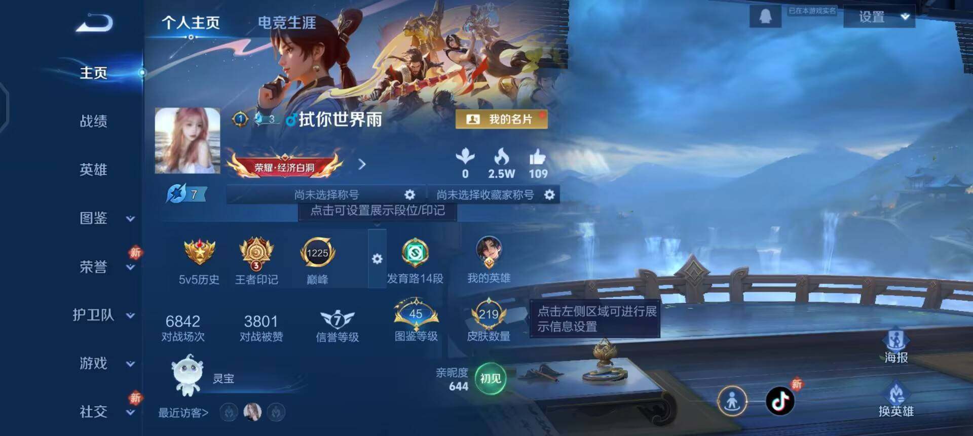 WZQM4101443王者荣耀账号详情图3 WZQM4101443王者荣耀账号详情图3