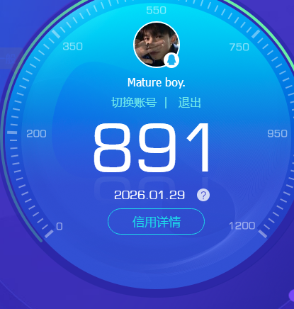 WZKG498747王者荣耀账号详情图9