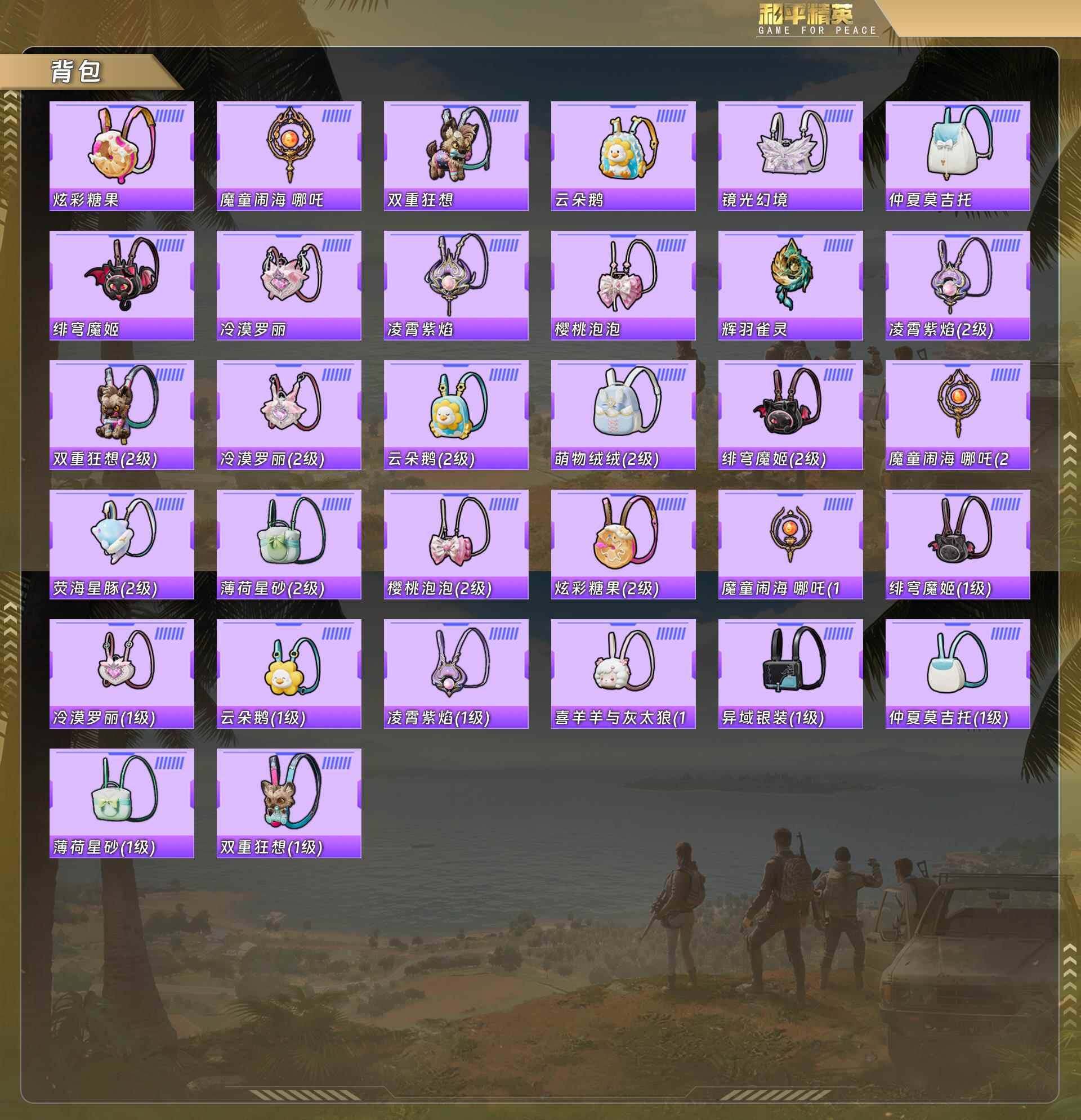 HPQM478607和平精英账号详情图10