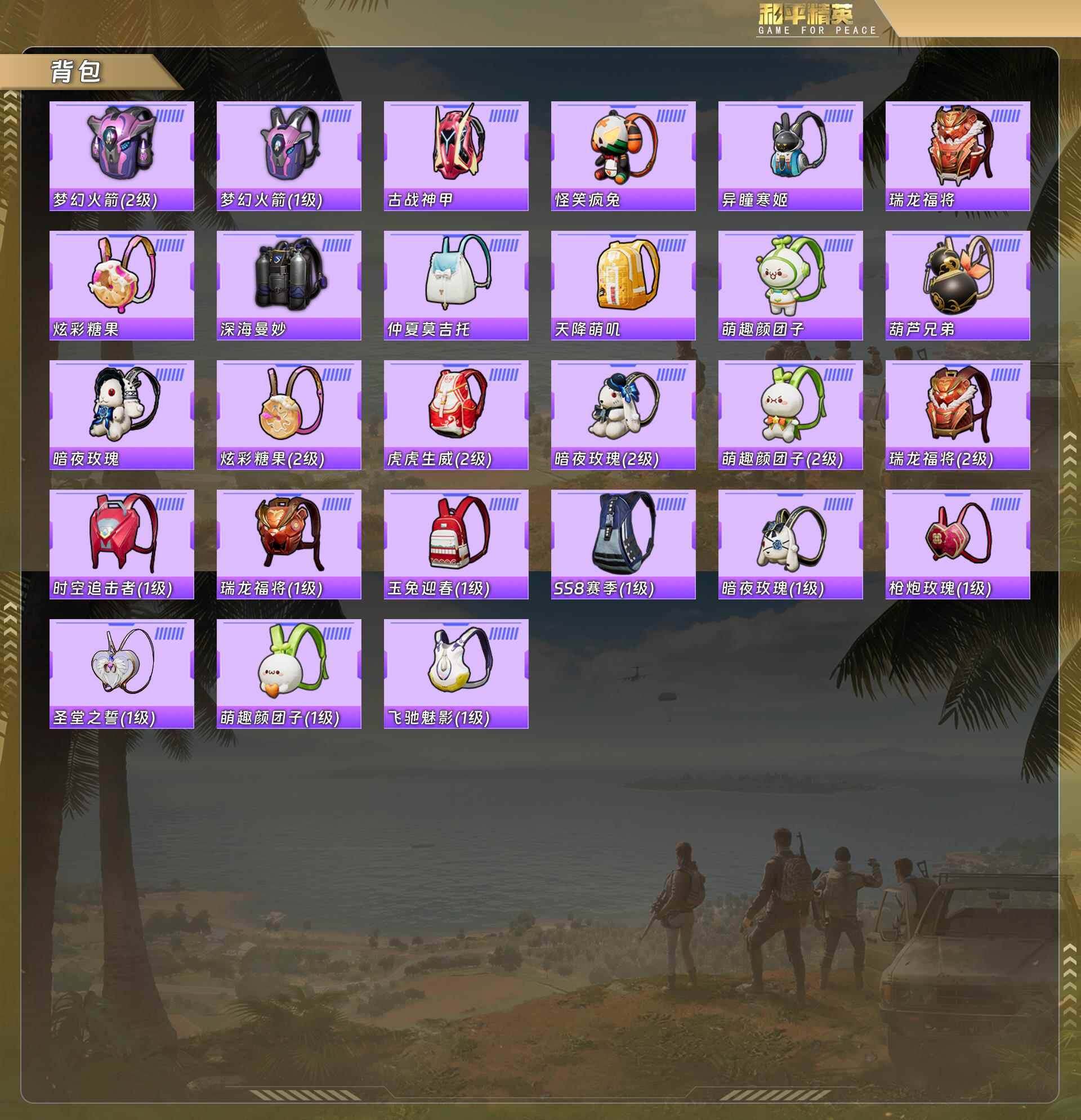 HPQM478528和平精英账号详情图7