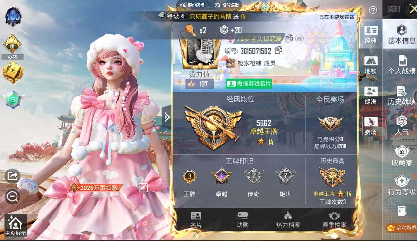 HPCMW452629和平精英账号详情图5