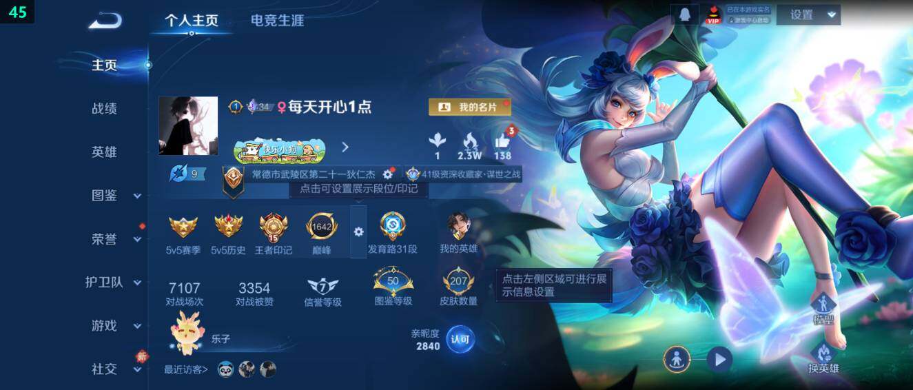 WZ034104555王者荣耀账号详情图8