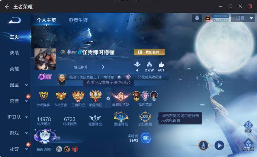 WZLX4126633王者荣耀账号详情图8