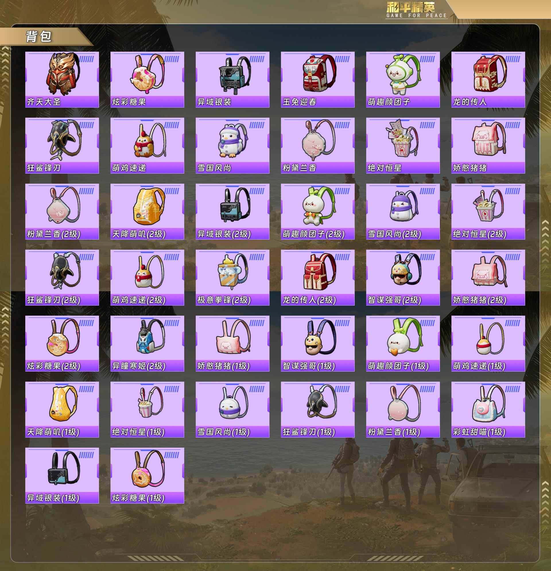 HPQM478732和平精英账号详情图7