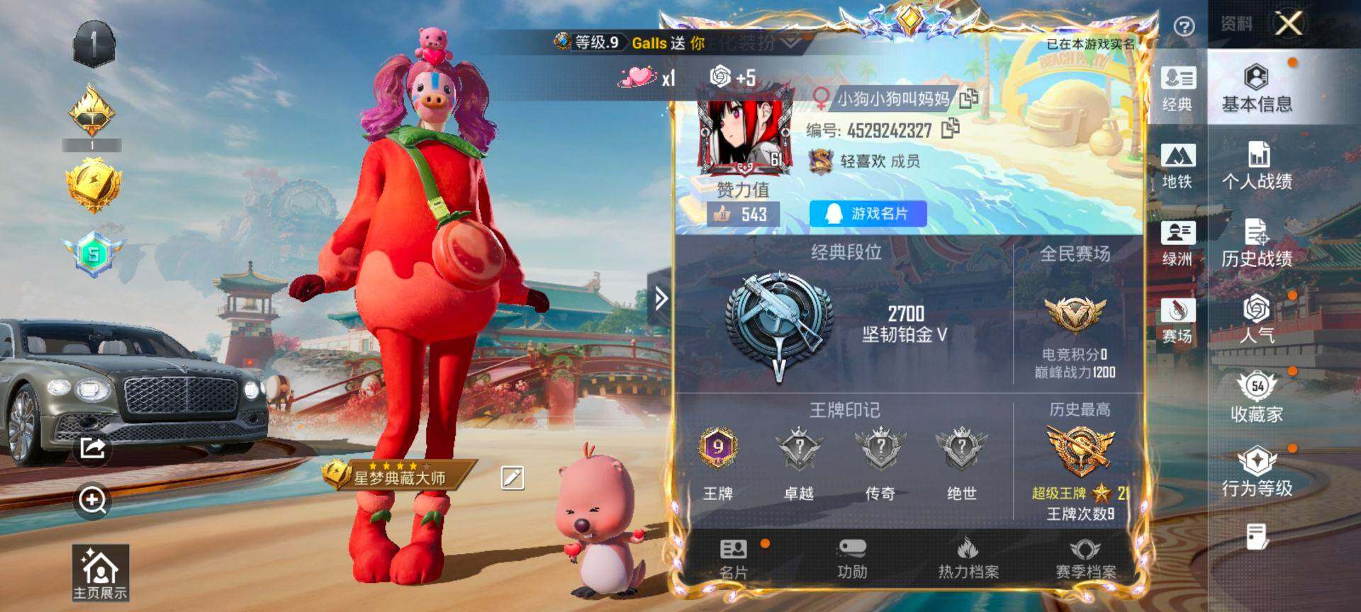 HPCMW469986和平精英账号详情图2