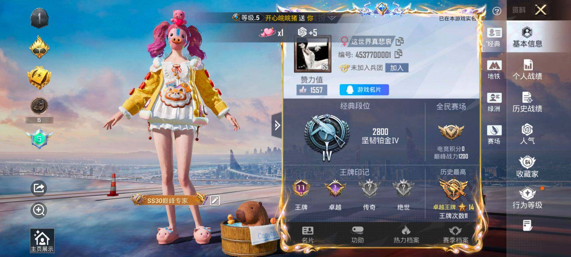 HPQM455791和平精英账号详情图3