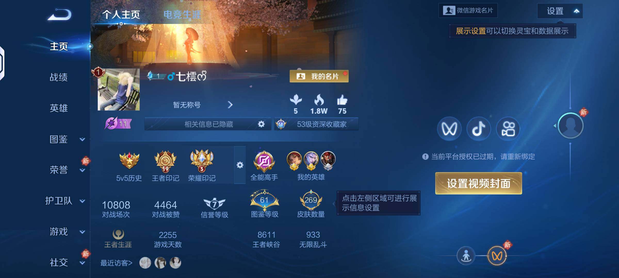 WZKG4133938王者荣耀账号详情图2