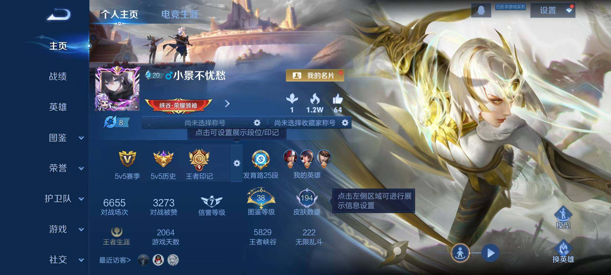 WZCMW4112039王者荣耀账号详情图11