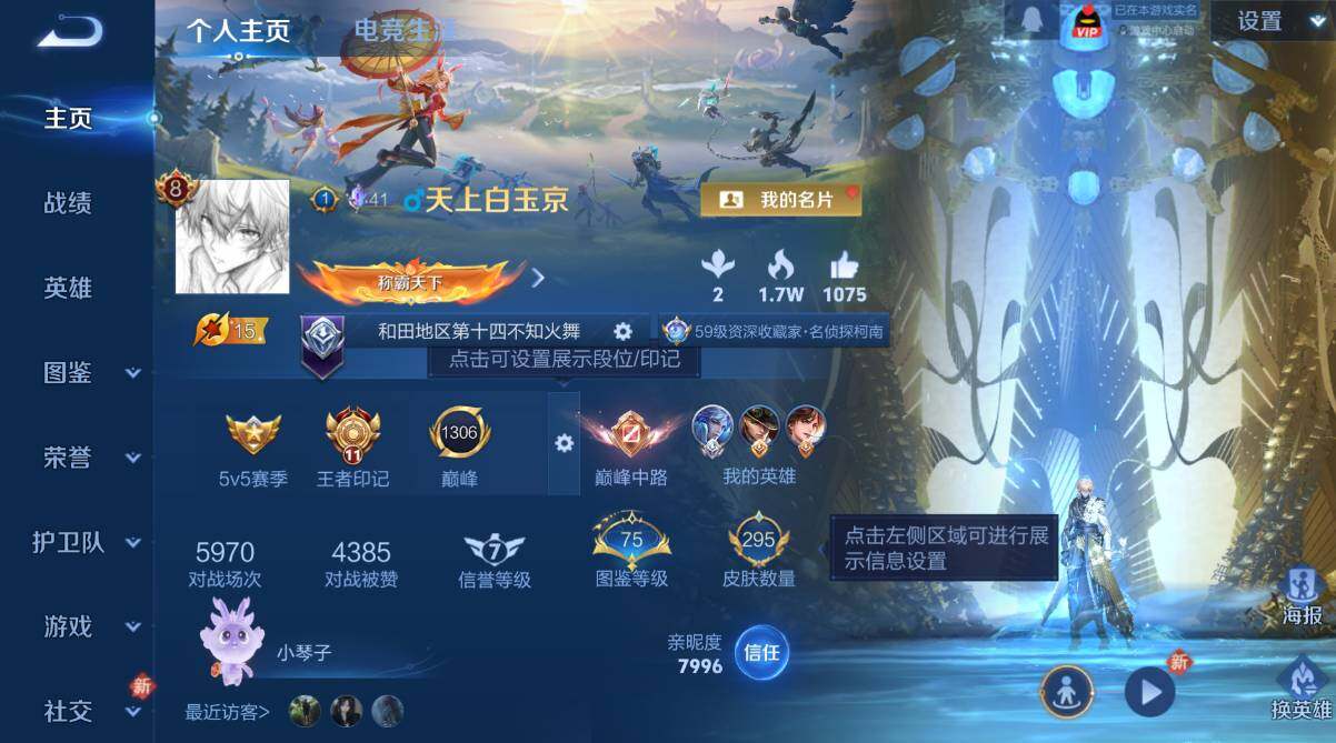 WZCMW4117943王者荣耀账号详情图10