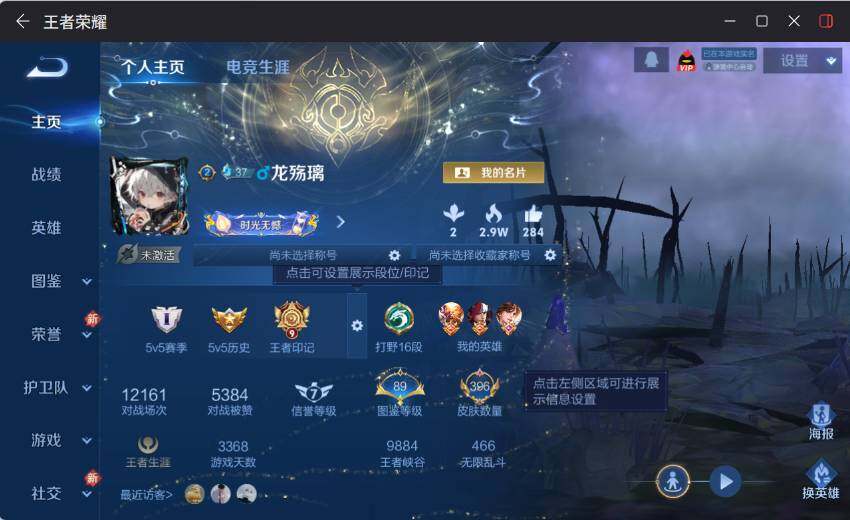 WZLX4116762王者荣耀账号详情图9