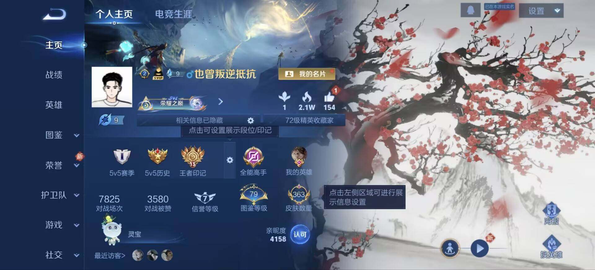 WZJM4113105王者荣耀账号详情图24