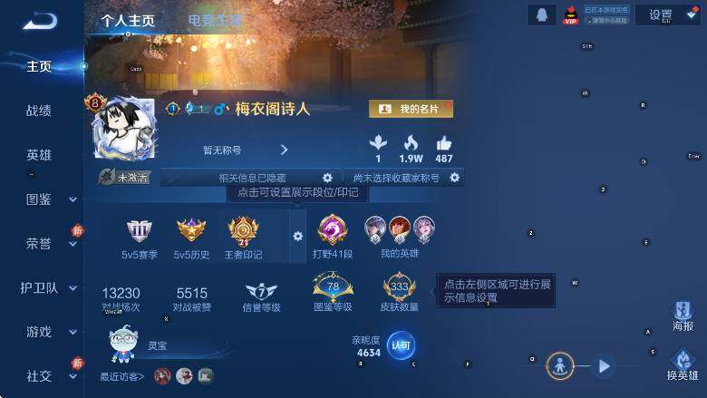 WZCMW4117966王者荣耀账号详情图9