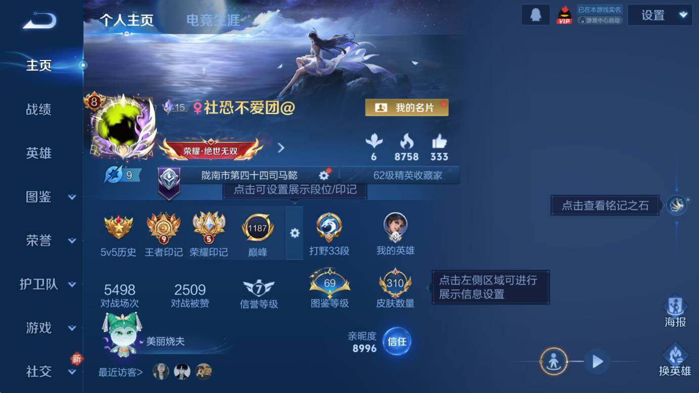 WZCMW4117981王者荣耀账号详情图10