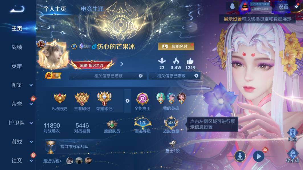 WZ034111623王者荣耀账号详情图11