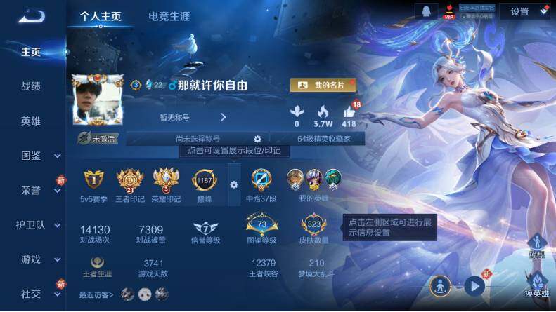 WZLX4121316王者荣耀账号详情图8