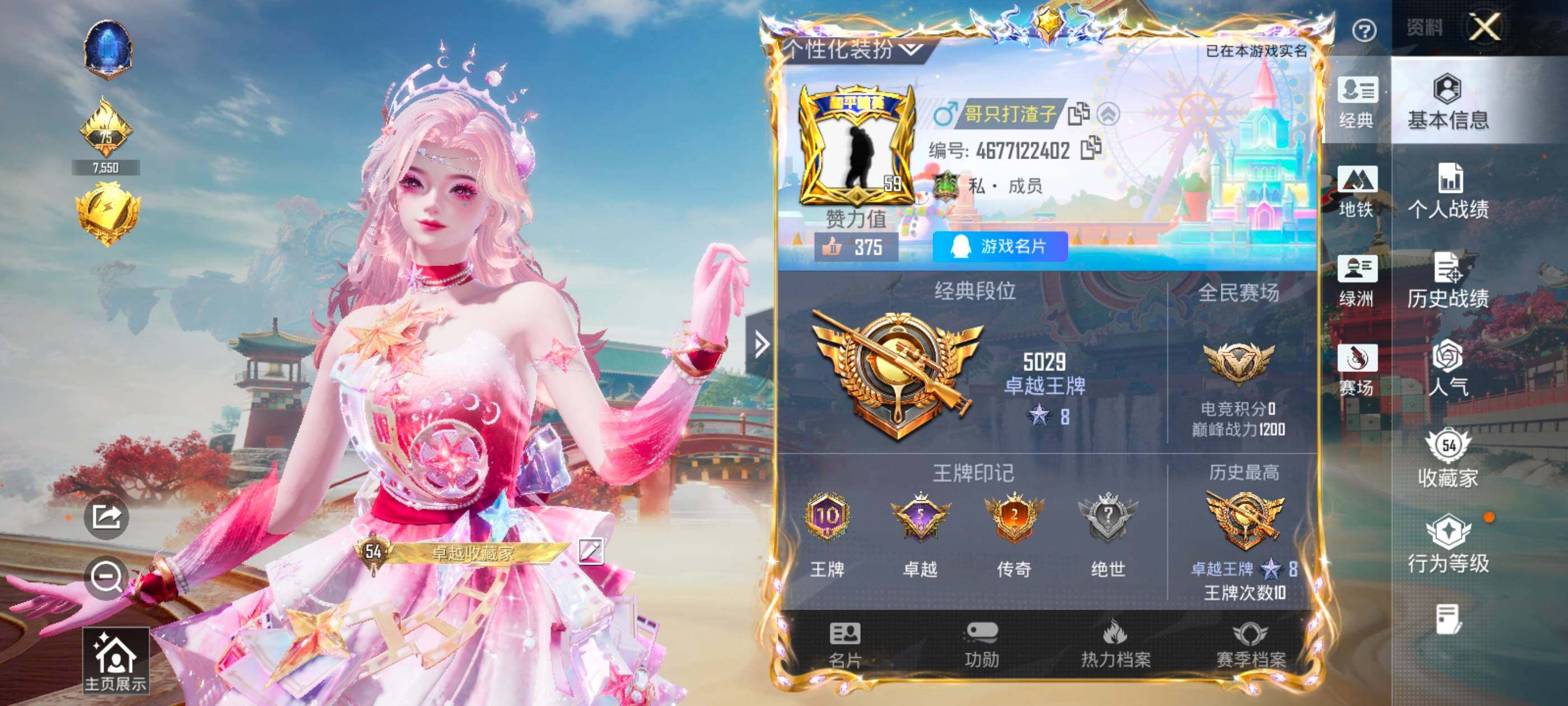 HPQM457616和平精英账号详情图10