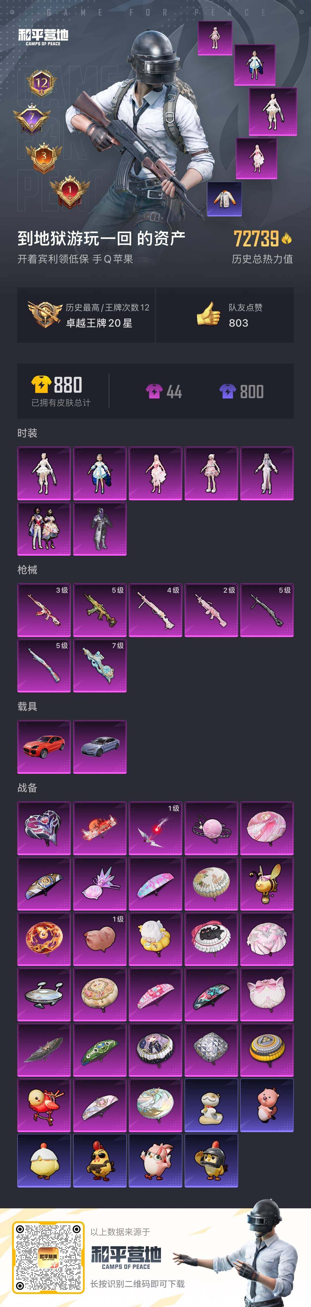 HPCMW462099和平精英账号详情图25