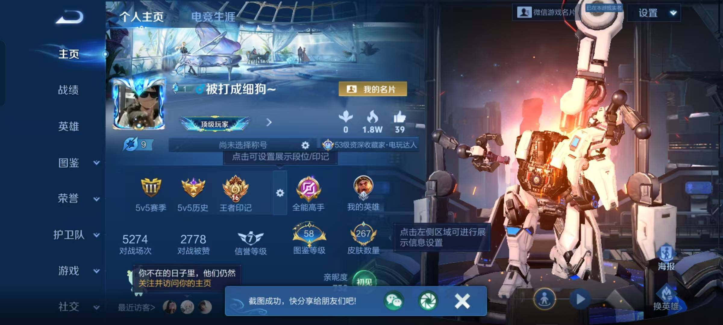 WZKG4111470王者荣耀账号详情图15