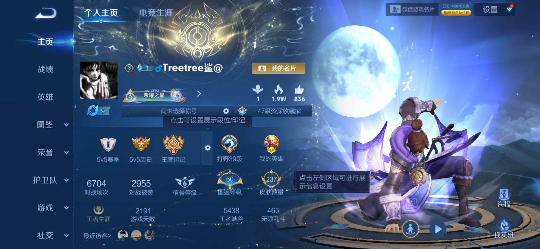 WZKG4111490王者荣耀账号详情图12