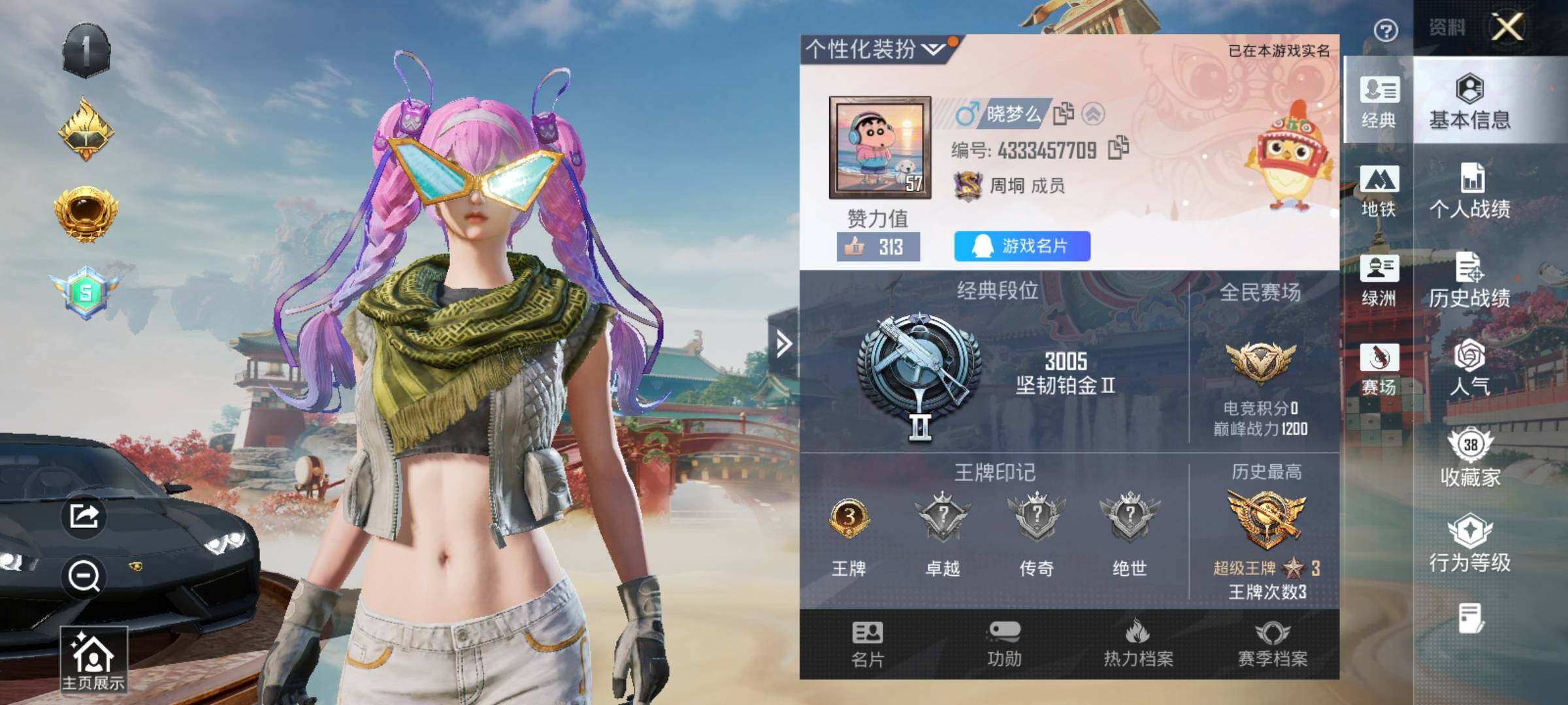 HPCMW460784和平精英账号详情图13