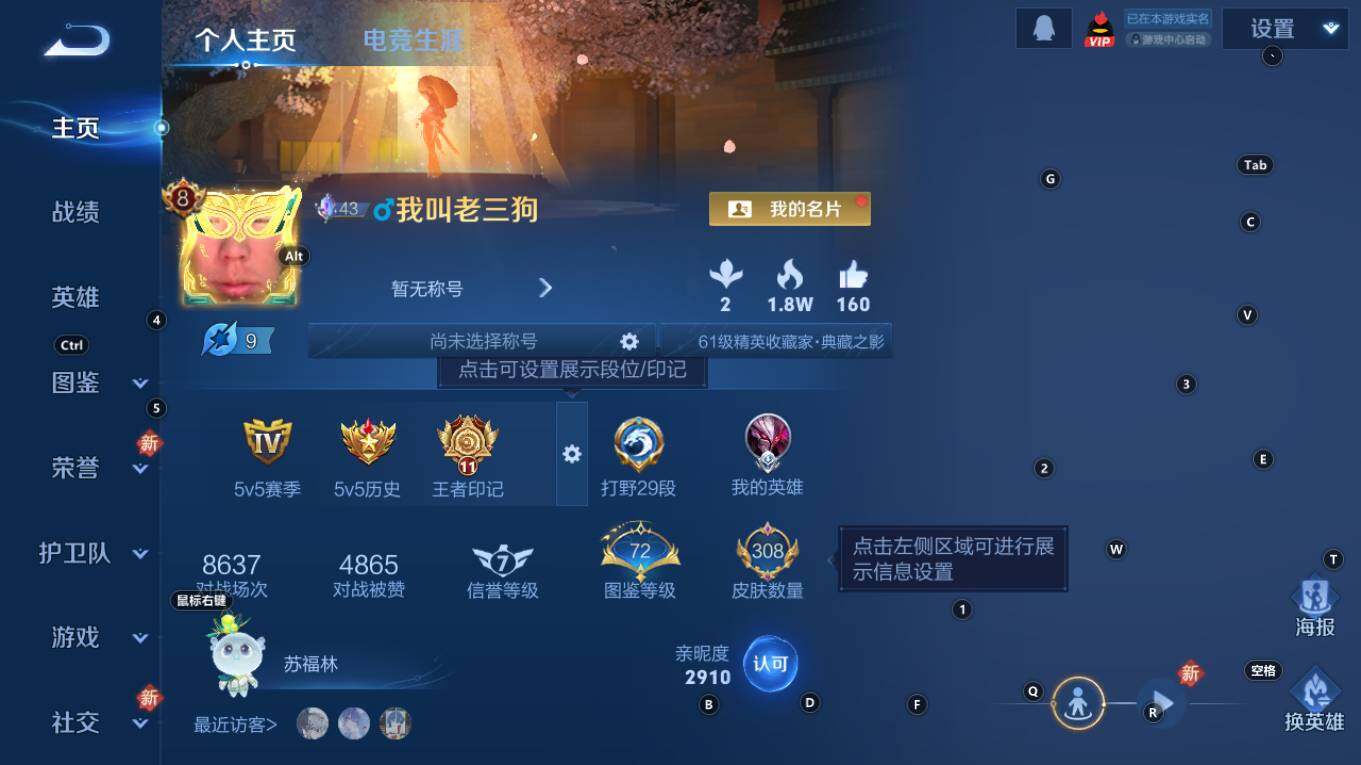 WZQM4124670王者荣耀账号详情图3