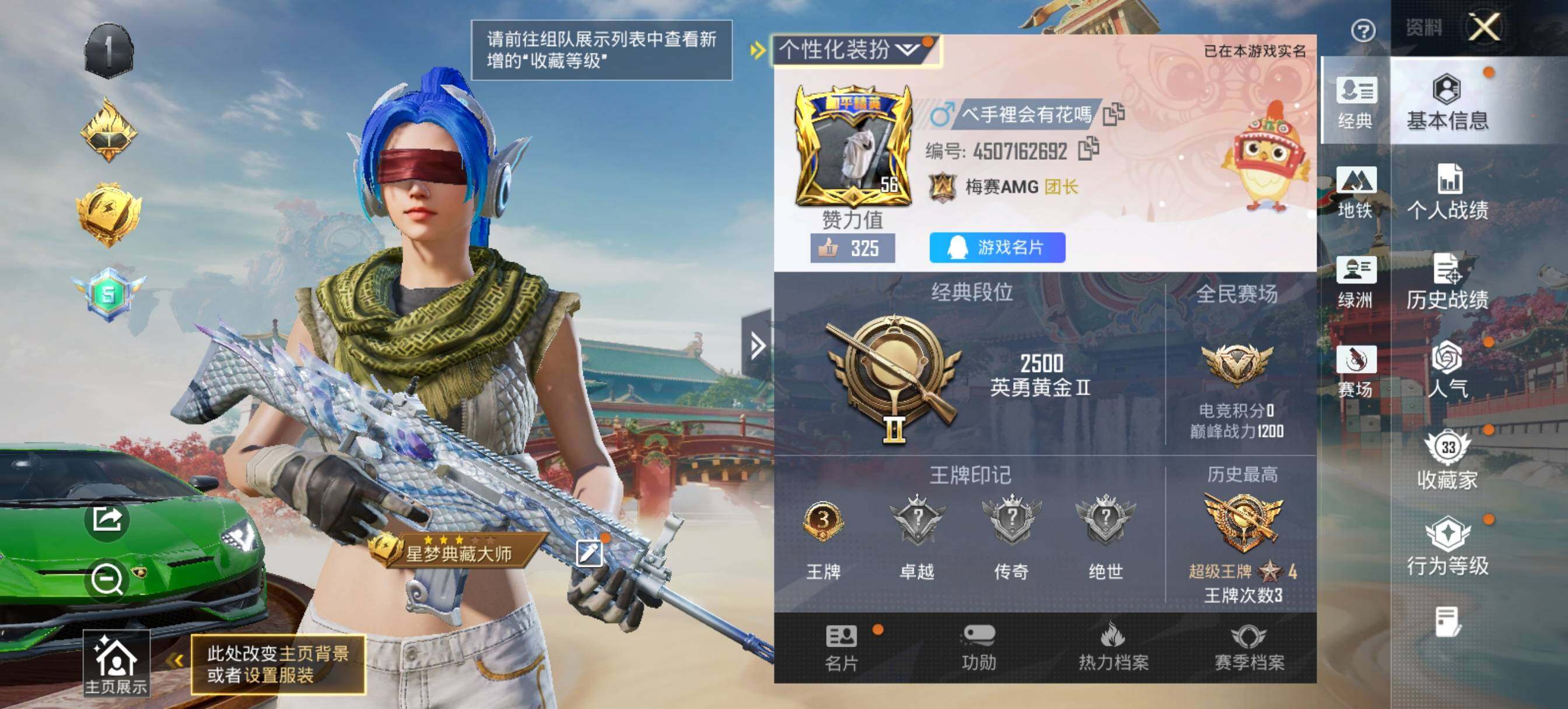 HPLX460663和平精英账号详情图11