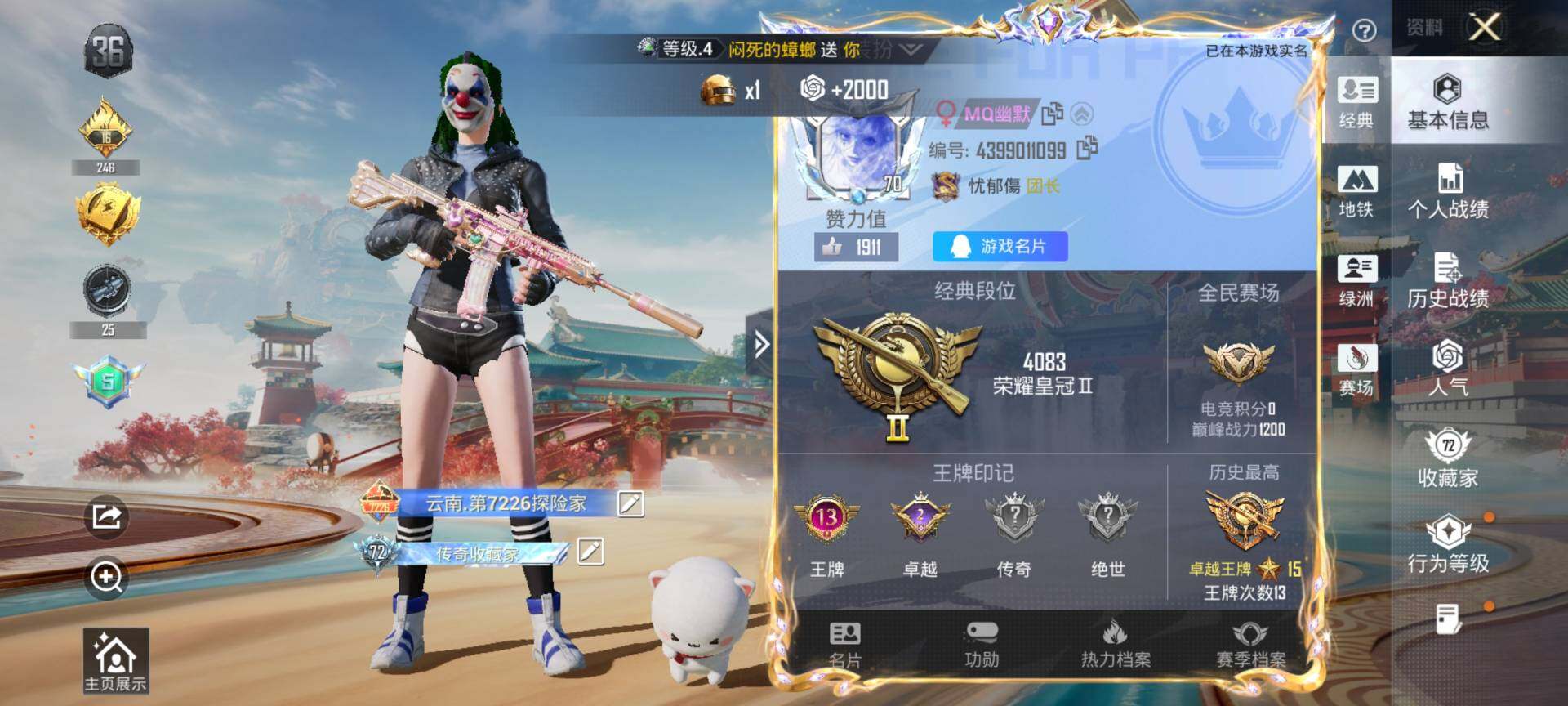 HPQM460417和平精英账号详情图3