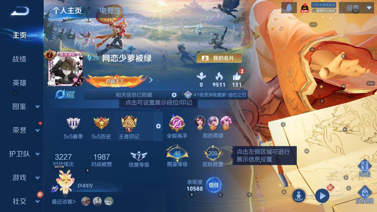 WZCMW4119119王者荣耀账号详情图8