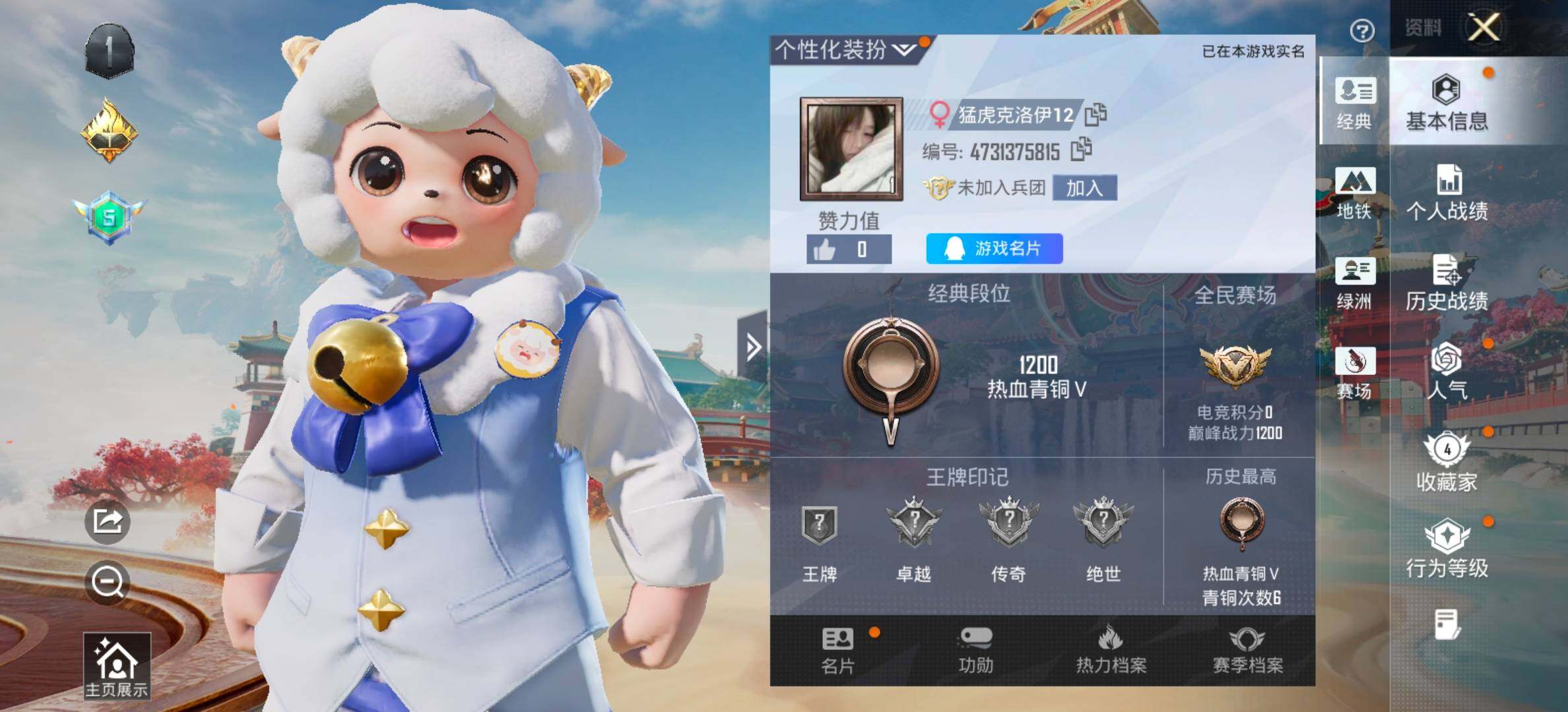 HPCMW485646和平精英账号详情图2