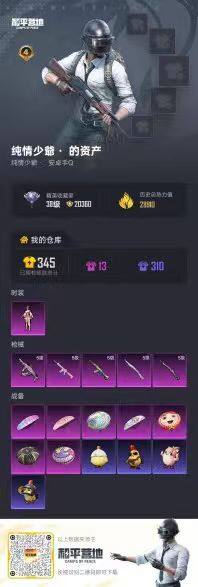 HPKG464879和平精英账号详情图11