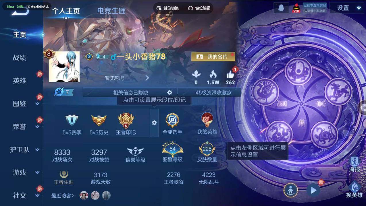 WZCMW4116613王者荣耀账号详情图8