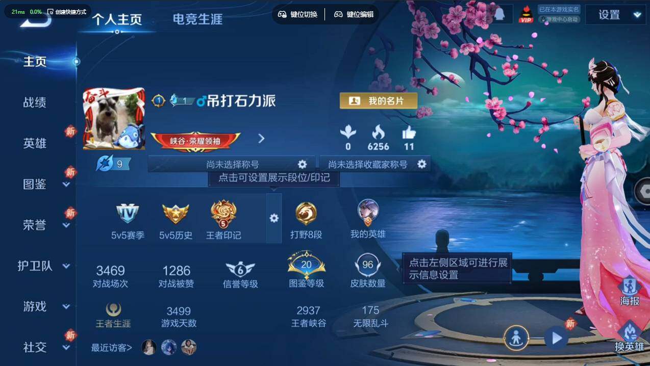 WZCMW4118245王者荣耀账号详情图6